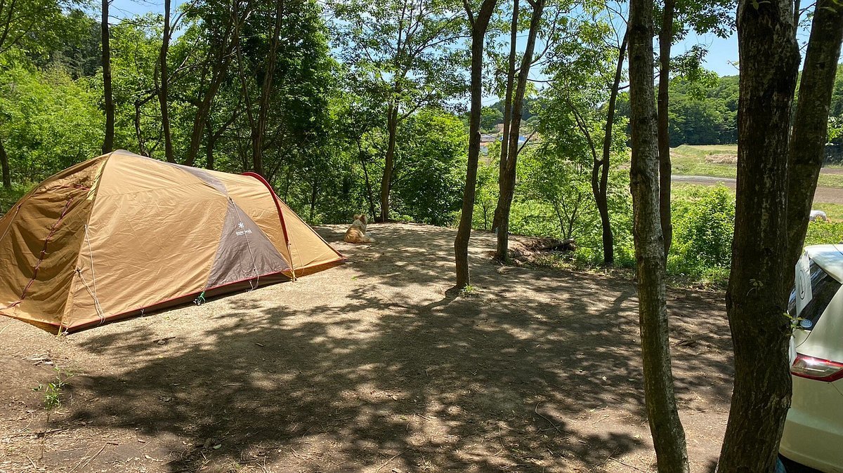 🏕️ 오이라노모리 숲속 캠핑장 (포레스트 파크 오이라노모리) 이미지 1